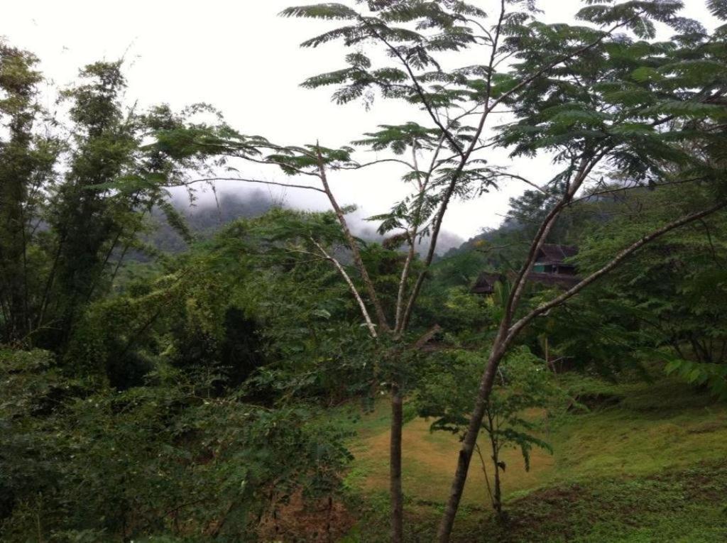 Chang Pai Garden (Adults Only) Hotel Exterior photo