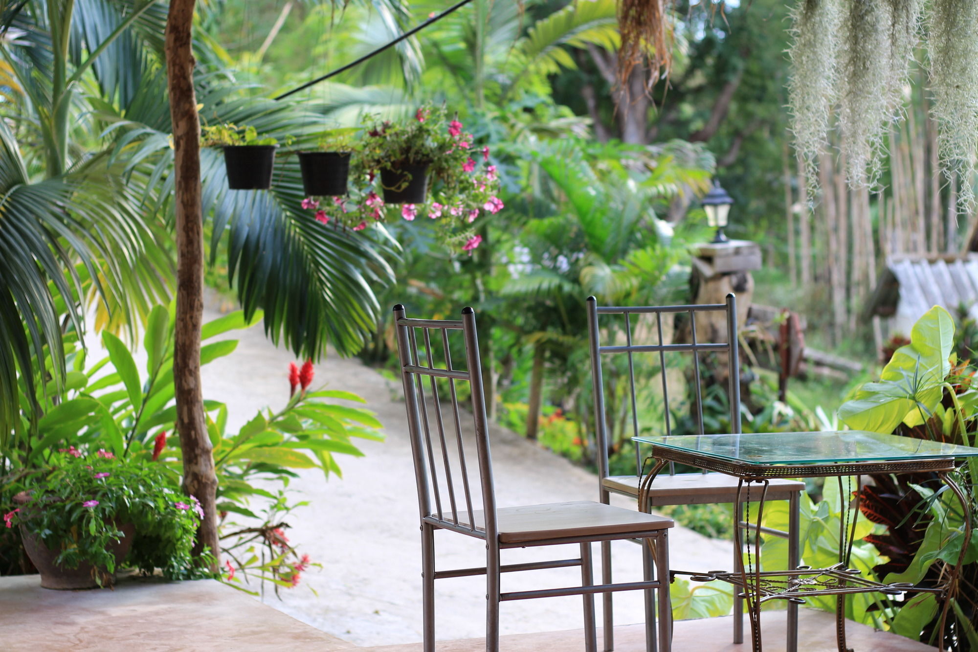 Chang Pai Garden (Adults Only) Exterior photo